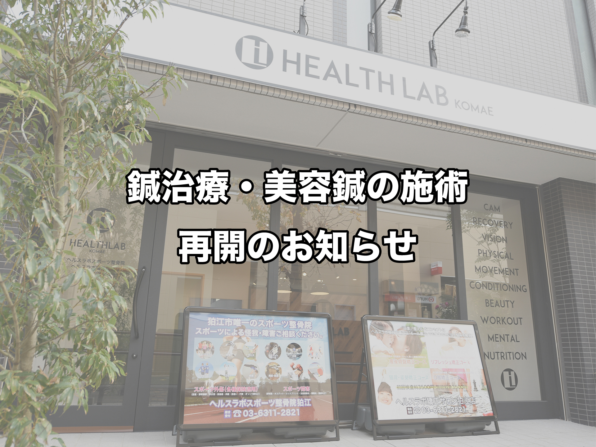 鍼治療・美容鍼の施術を再開いたしました！